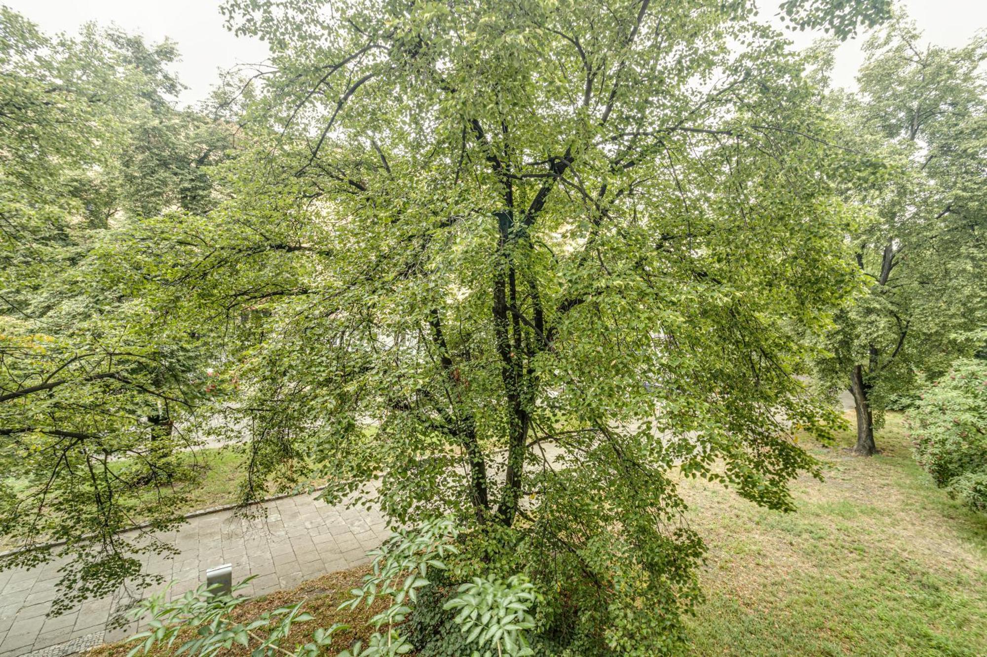 Rentplanet - Apartament Kosciuszki Wroclaw Exterior photo